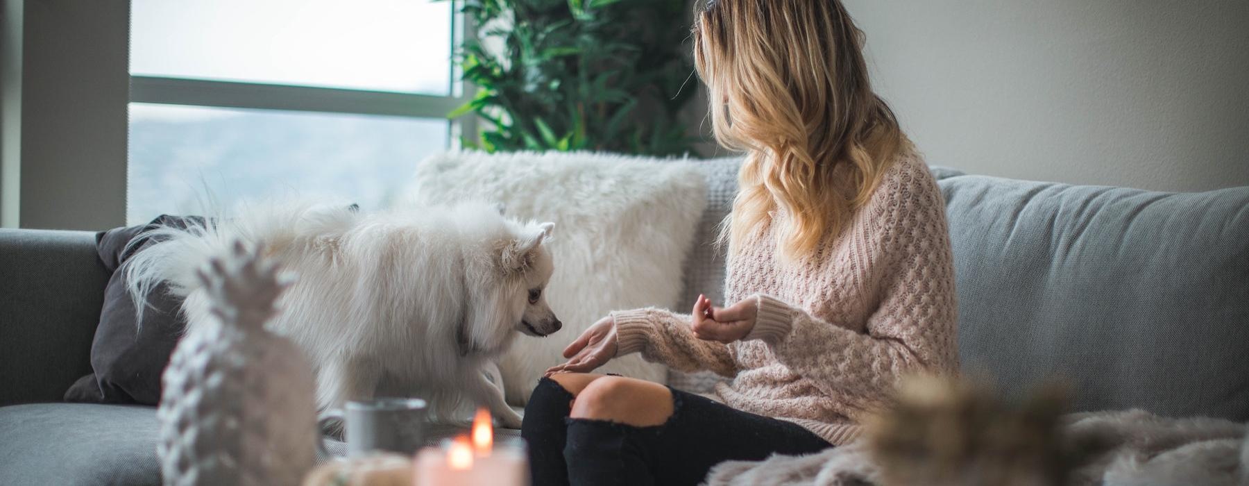 a person sitting on a couch with a dog and a candle